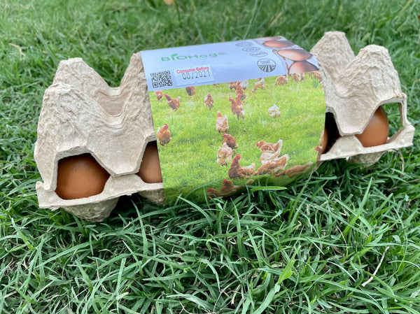 Free Range and Pasture Raised Eggs (10 pcs.)