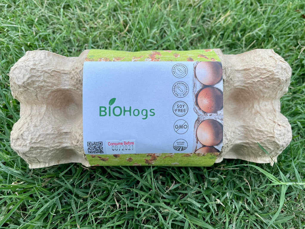 Free Range and Pasture Raised Eggs (10 pcs.)