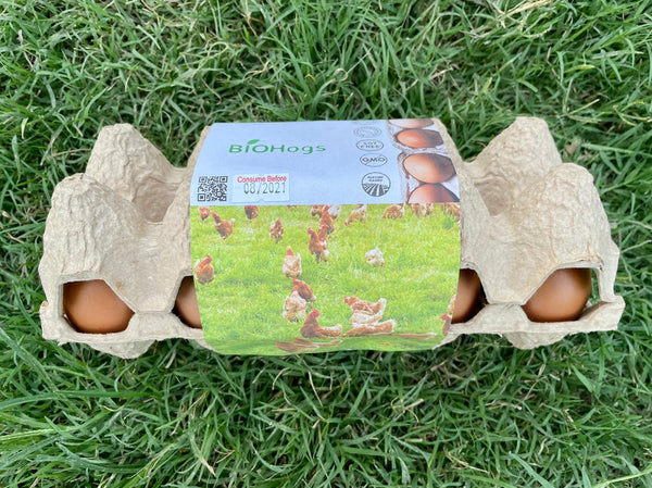 Free Range and Pasture Raised Eggs (10 pcs.)
