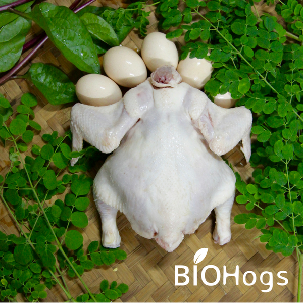 FREE RANGE ORGANIC CHICKEN (Whole) - BIOHogs