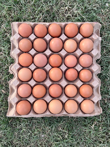 Free Range and Pasture Raised Eggs (30 pcs.)